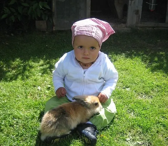 アパート Daniela フィス